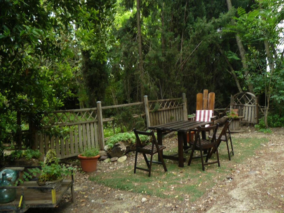 Casa Rural Torre De Campos ξενώνας Ainzon Εξωτερικό φωτογραφία