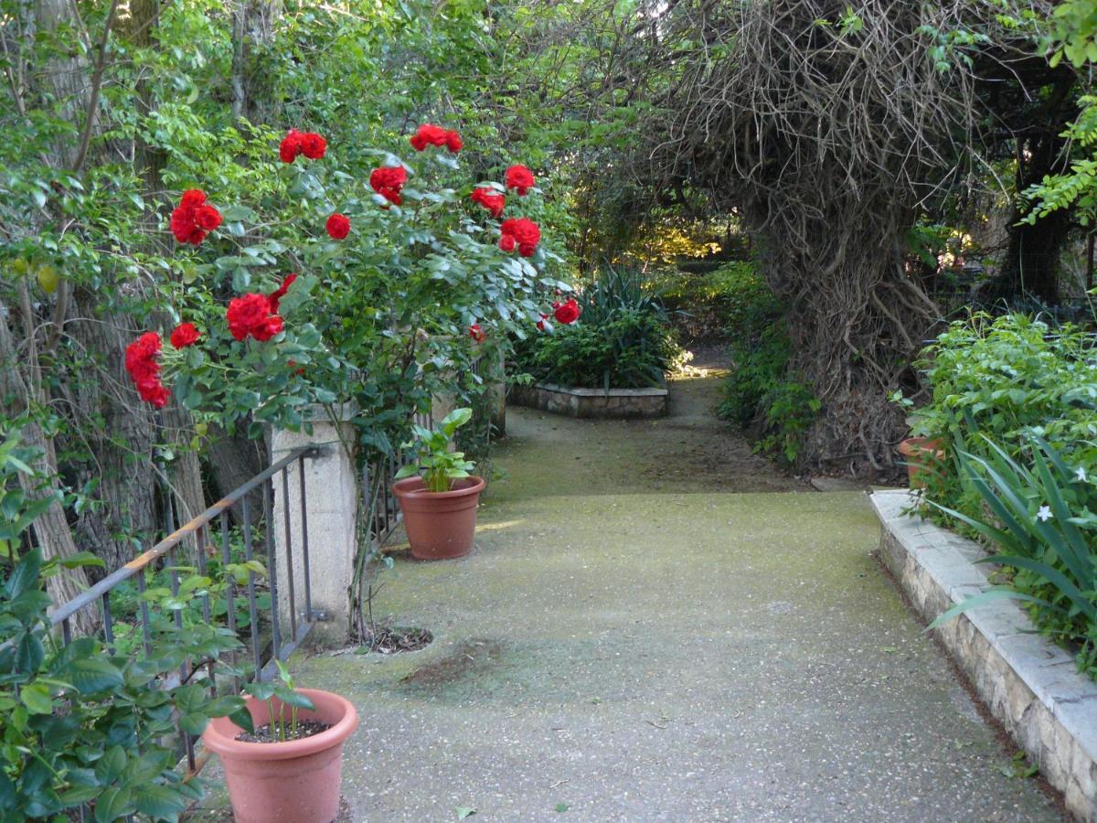 Casa Rural Torre De Campos ξενώνας Ainzon Εξωτερικό φωτογραφία